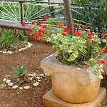 Jovic Apartamento Mali Lošinj
