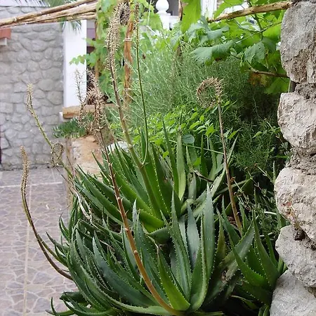 Jovic Lejlighed Mali Lošinj