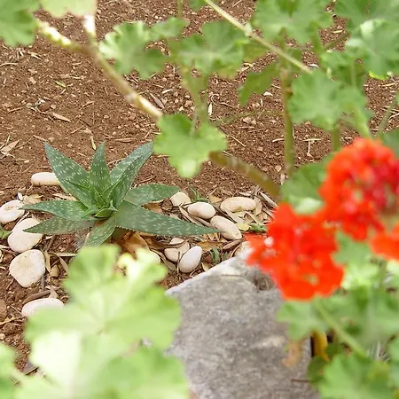 Lejlighed Jovic Mali Lošinj