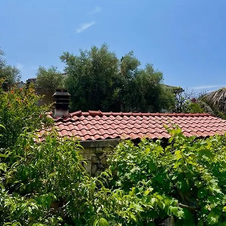 Lejlighed Jovic Mali Lošinj