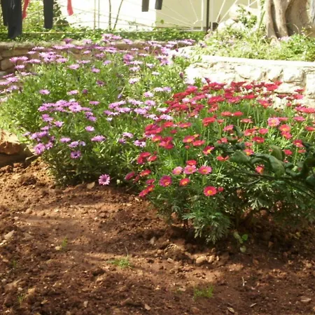 Jovic Lejlighed Mali Lošinj