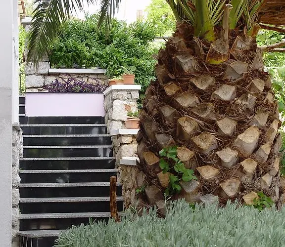 Jovic * مالي لوشينغْ