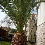 Jovic Appartement