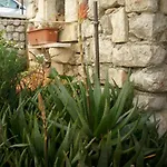 Appartement Jovic *