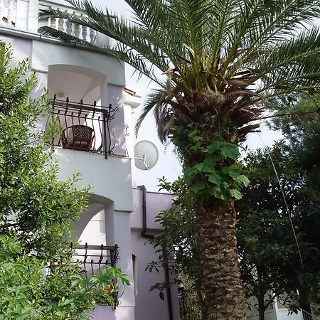 Daire Jovic Mali Lošinj