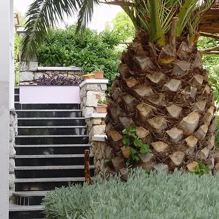 Jovic * Mali Lošinj