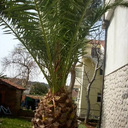 Jovic شقة