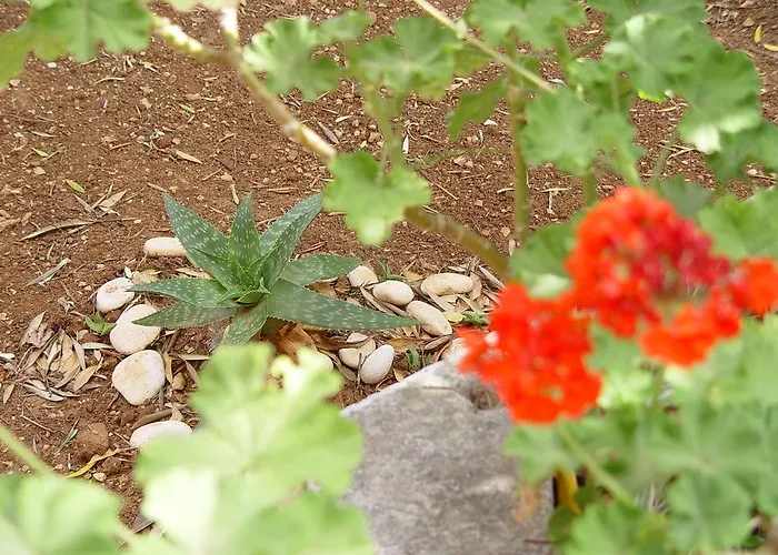 Apartament Jovic Mali Lošinj